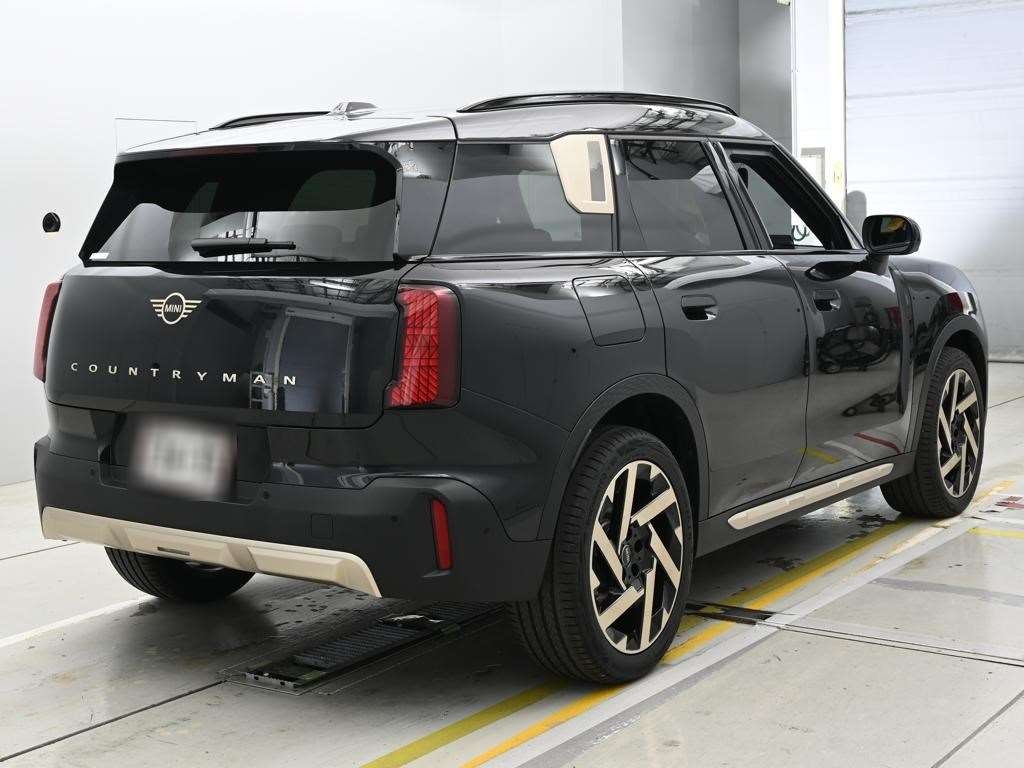 2025 Mini Mini COUNTRY MANDFEI BIRD TRIM