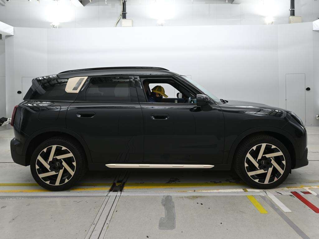 2025 Mini Mini COUNTRY MANDFEI BIRD TRIM